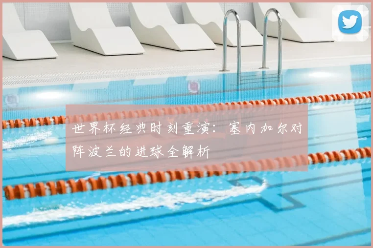 世界杯经典时刻重演：塞内加尔对阵波兰的进球全解析