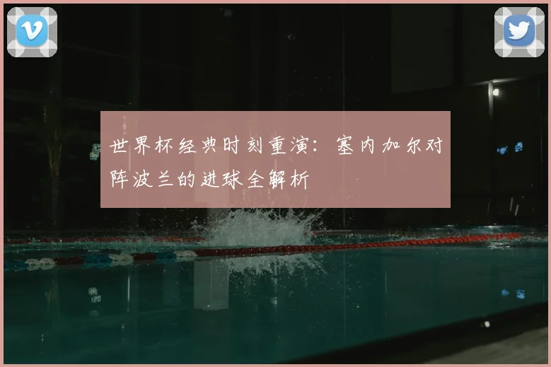 世界杯经典时刻重演：塞内加尔对阵波兰的进球全解析