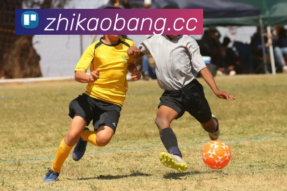 多媒体互动体验